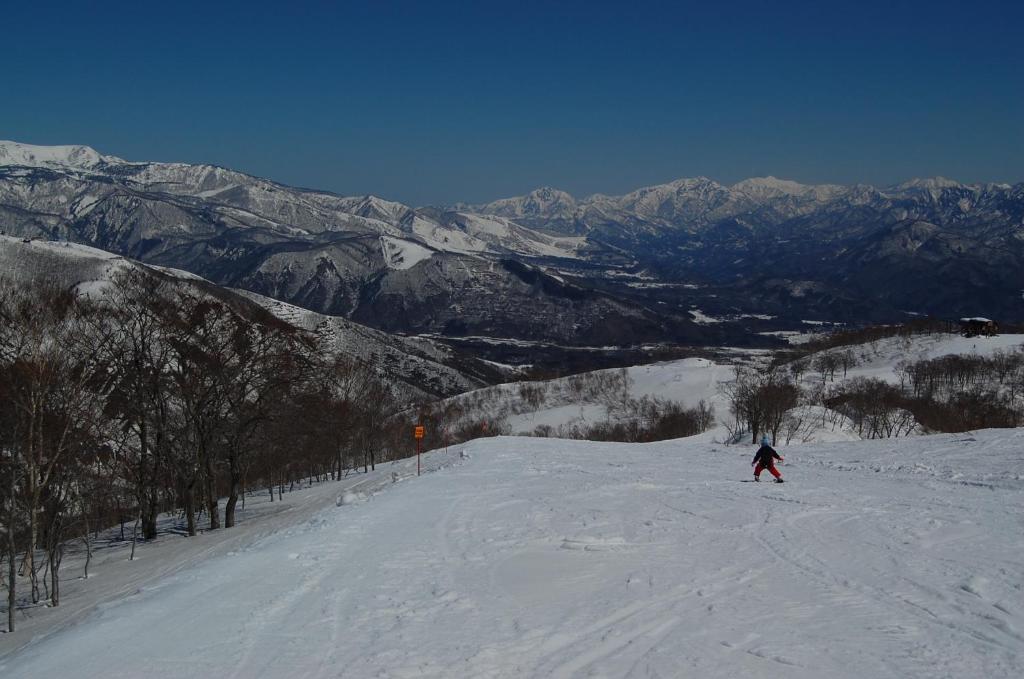 Il Bosco Villa Hakuba Exterior photo
